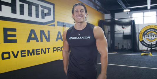Best Compound Movements for Muscle Building