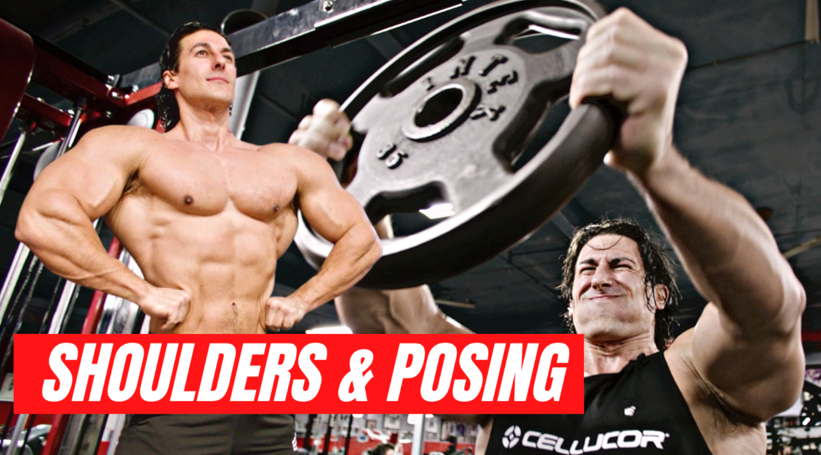 Transform Your Shoulders 6 Shoulder Day Exercises to Build Mass Cellucor