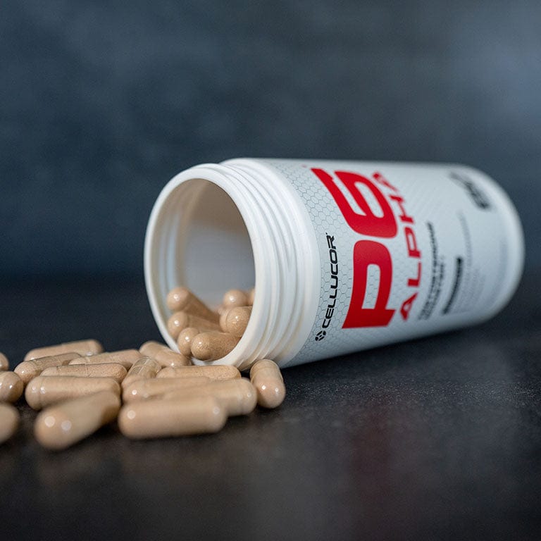 P6 Alpha - natural testosterone booster