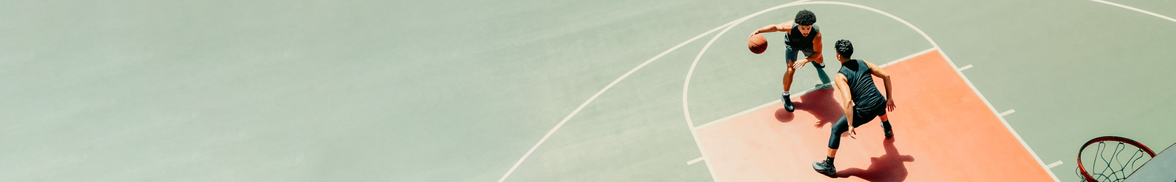 Supplement Stacks & Bundles