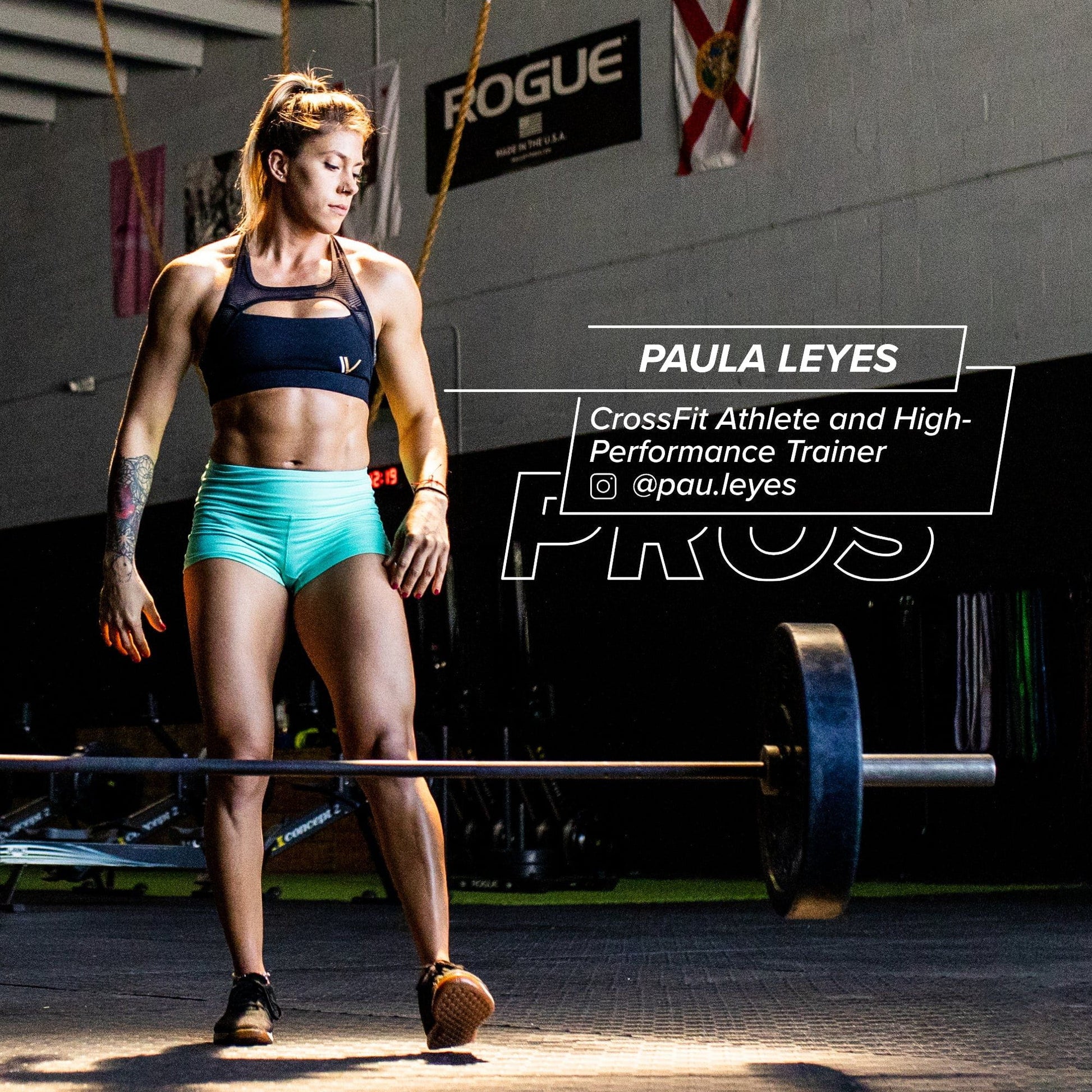 Paula Leyes: The Get Ripped Bundle View 2
