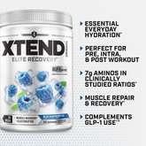 XTEND® Original BCAA Powder