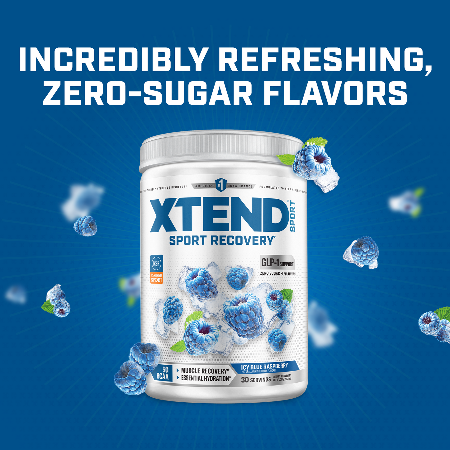 XTEND Sport BCAA Powder