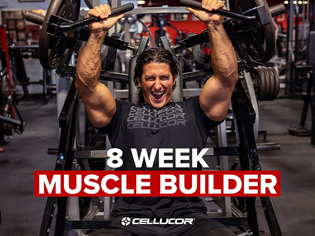 Muscle Builder E-Book View 1
