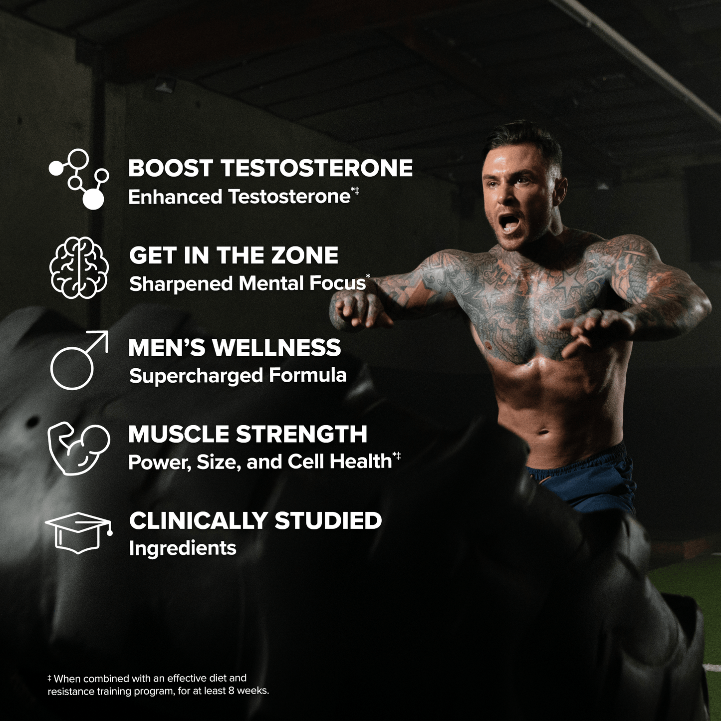 P6® Extreme Testosterone Booster