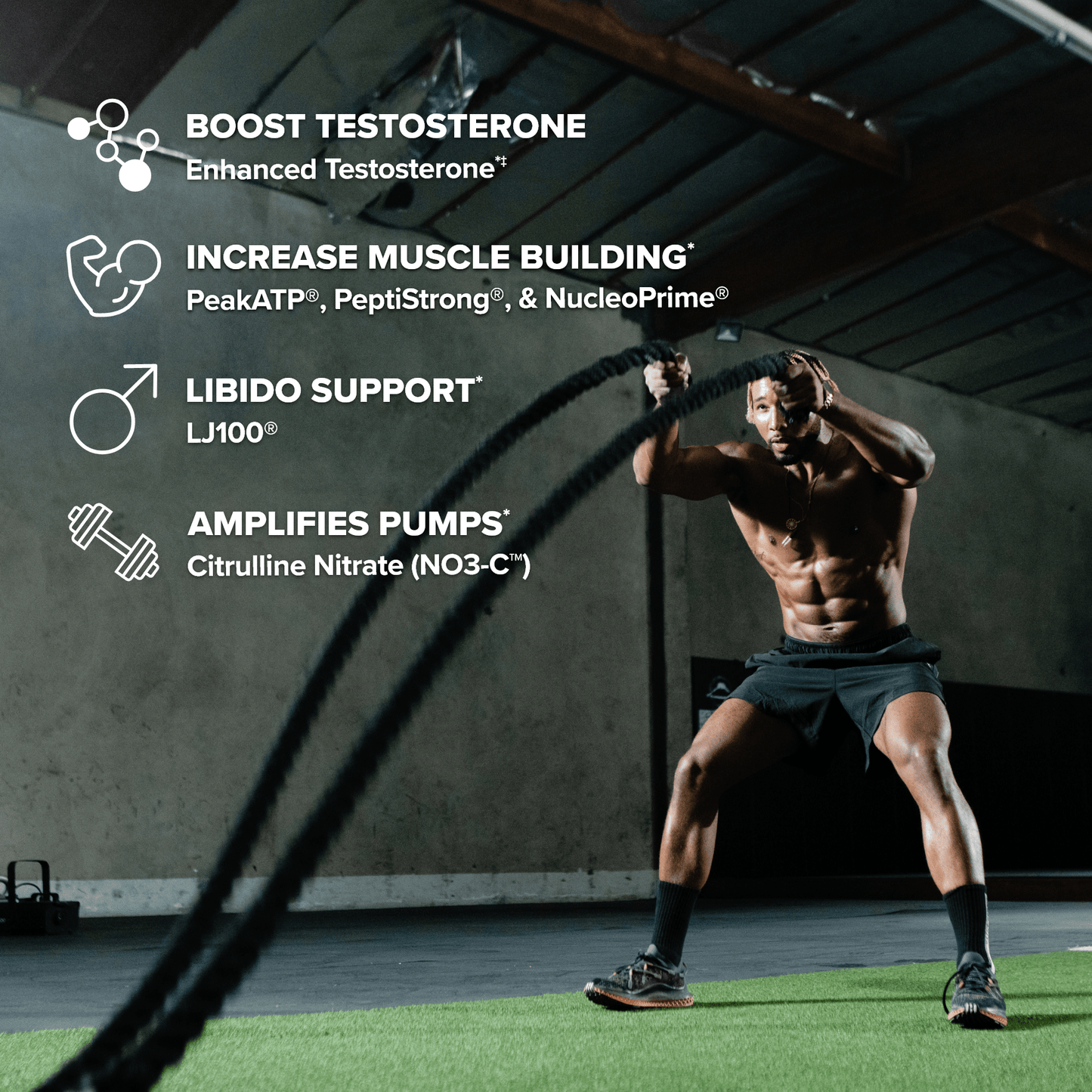 P6® Ultimate Testosterone Booster
